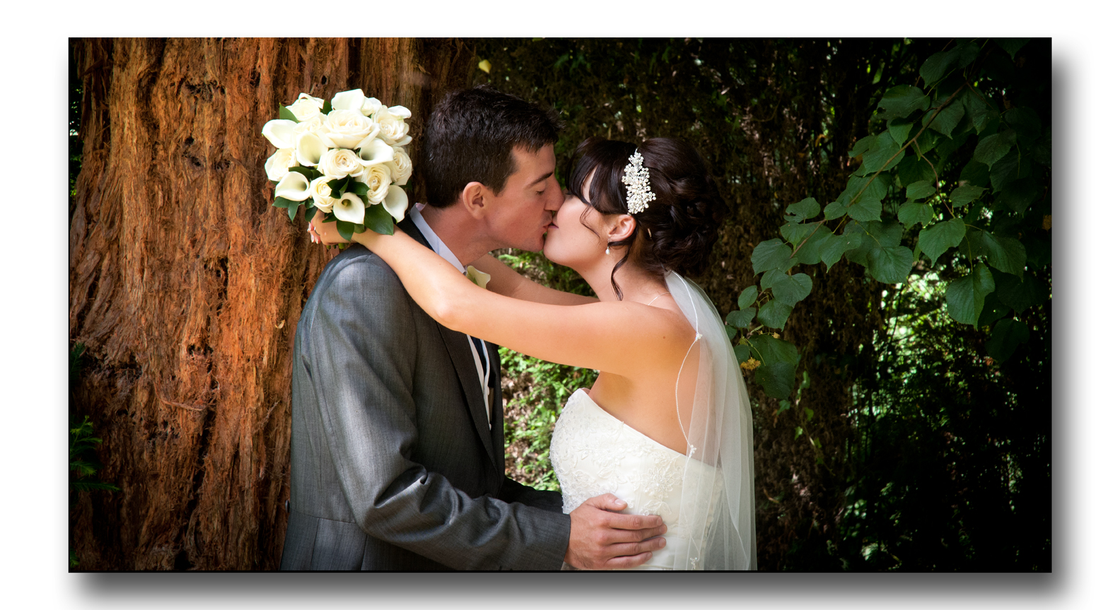 bride and groom by the tree kissing